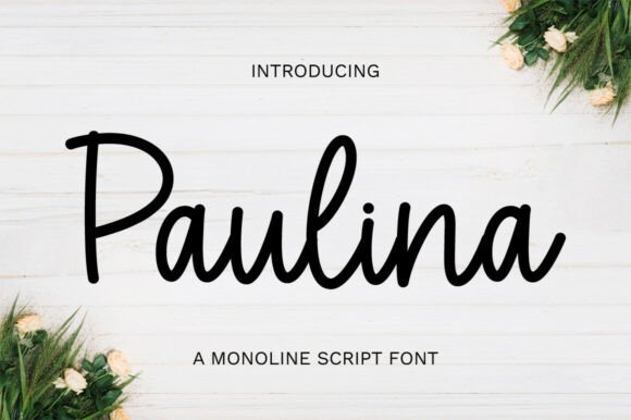 Paulina: The Elegant Script Font for Modern Branding